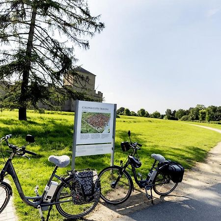 Wohnen Im Alten Amtsgericht Im Herzen Von Xanten Ngoại thất bức ảnh